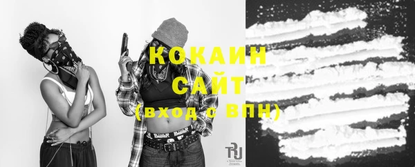 дурь Богородицк
