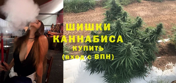 apvp Богданович