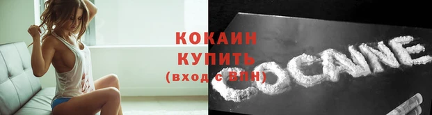 apvp Богданович