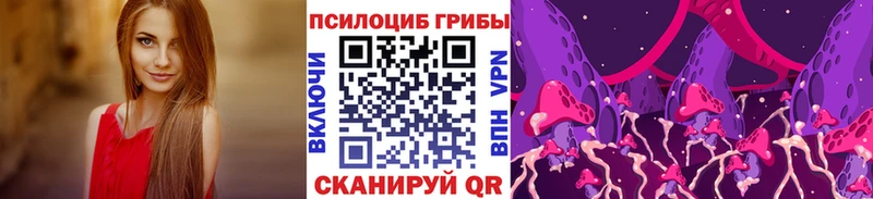 kraken tor где продают даркнет как зайти Галлюциногенные грибы мицелий Гудермес